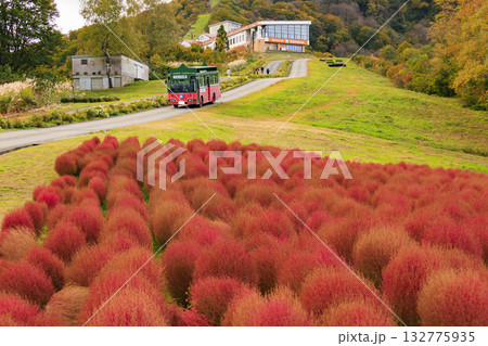 湯沢高原 パノラマパーク アルプの里 湯沢高原 パノラマパーク アルプの里 132775935