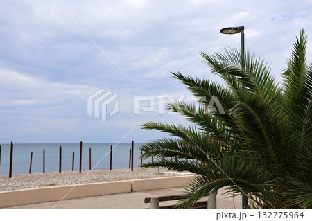 Serene beach view with palm tree and cloudy sky by the coast in the early afternoon Serene beach view with palm tree and cloudy sky by the coast in the early afternoon 132775964