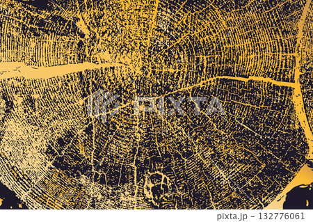 Detailed Tree Trunk Rings Gold Texture 132776061