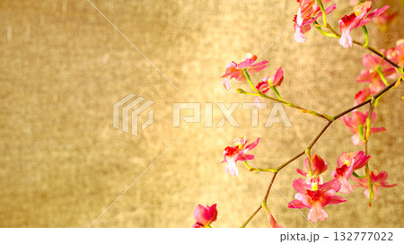 ピンクのトゥインクルの花のアップ ピンクのトゥインクルの花のアップ 132777022