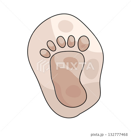 illustration of Baby Footprint illustration of Baby Footprint 132777468
