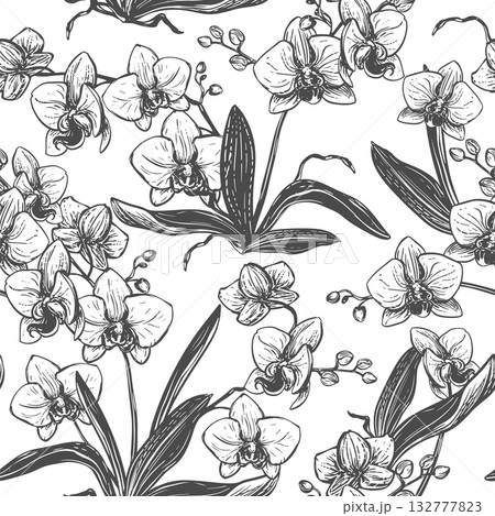 Vector seamless pattern with orchids. Phalaenopsis bush with flowers, leaves, and buds. Black ink drawing imitating engraving. Line drawing of an exotic flower. Tropical pattern for textiles. Vector seamless pattern with orchids. Phalaenopsis bush with flowers, leaves, and buds. Black ink drawing imitating engraving. Line drawing of an exotic flower. Tropical pattern for textiles. 132777823