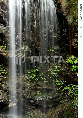 滝の水が流れ落ちる途中 132777864