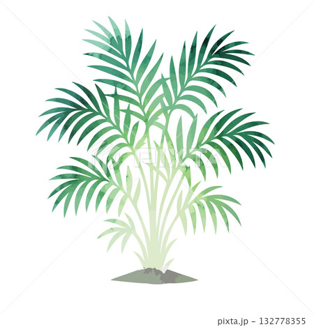 Watercolor areca palm tree object. Hand drawn. Not AI, vector illustration. Watercolor areca palm tree object. Hand drawn. Not AI, vector illustration. 132778355