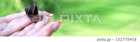 Grape snail on the hand Grape snail on the hand 132778458