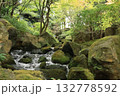 岩の間を流れる川 132778592
