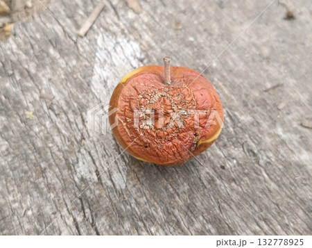 A rotten apple fell to the ground A rotten apple fell to the ground 132778925