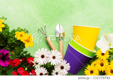 Bright spring flowers in vibrant colors decorate a balcony. Gardening tools lie next to colorful pots, inspiring a joyful planting activity on a sunny day 132779792
