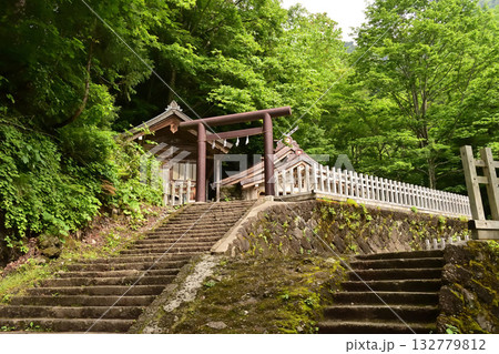 緑に包まれた戸隠神社奥社 132779812