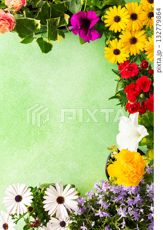 A beautiful collection of spring flowers decorates a balcony or terrace, creating a lively and cheerful atmosphere. Various colors and types of flowers bring joy to the space. A beautiful collection of spring flowers decorates a balcony or terrace, creating a lively and cheerful atmosphere. Various colors and types of flowers bring joy to the space. 132779864