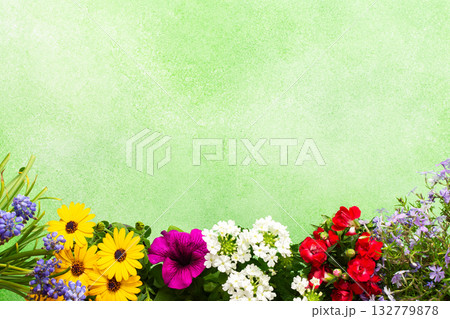 Beautiful spring flowers adorn a balcony, creating a cheerful atmosphere. The colorful blooms in various shades brighten the terrace, celebrating the arrival of warmer days Beautiful spring flowers adorn a balcony, creating a cheerful atmosphere. The colorful blooms in various shades brighten the terrace, celebrating the arrival of warmer days 132779878