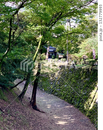 清海堀〈岡崎城公園/愛知県岡崎市〉 132779993