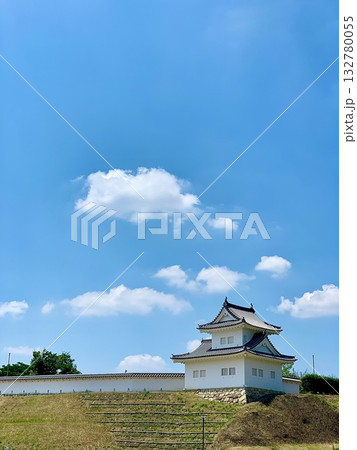 夏の青空に映える岡崎城東隅櫓(ひがしすみやぐら)〈岡崎城公園/愛知県岡崎市〉 132780055