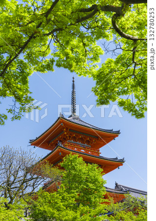 京都　清水寺の三重塔と新緑　 132780253