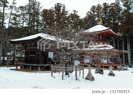 高野山　壇上伽藍　東塔 132780953
