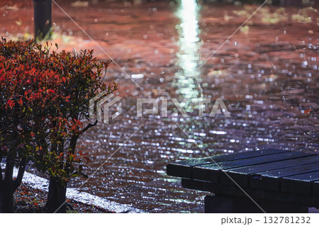 雨の夜の光が反射する幻想的なベンチと低木 雨の夜の光が反射する幻想的なベンチと低木 132781232