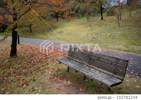 紅葉の季節、静かに佇むベンチと散歩道 紅葉の季節、静かに佇むベンチと散歩道 132781234