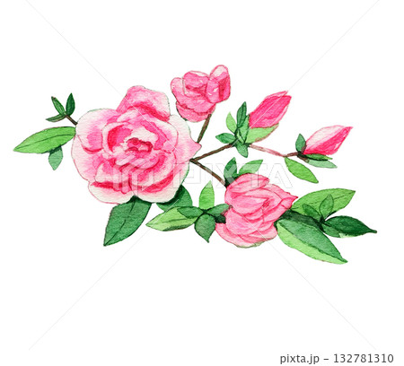 ピンク色の八重のさつき ピンク色の八重のさつき 132781310