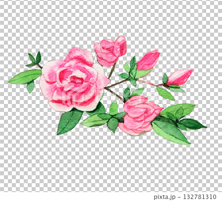 ピンク色の八重のさつき ピンク色の八重のさつき 132781310