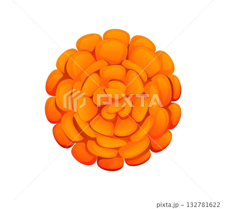 Day of the Dead holiday, Dia De Los Muertos Mexican marigold flower. Hispanic culture holiday attribute, Dia de Los Muertos vector decoration. Mexican Day of Dead marigold flower orange petals Day of the Dead holiday, Dia De Los Muertos Mexican marigold flower. Hispanic culture holiday attribute, Dia de Los Muertos vector decoration. Mexican Day of Dead marigold flower orange petals 132781622