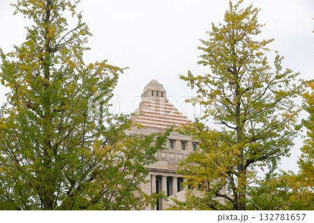 【国会議事堂】銀杏並木、秋の風景 132781657