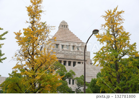【国会議事堂】銀杏並木、秋の風景 【国会議事堂】銀杏並木、秋の風景 132781800