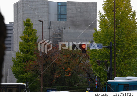 【国会議事堂】銀杏並木、秋の風景 132781820