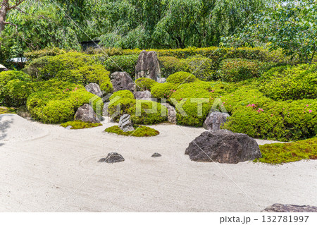 紫陽花で有名な日本の鎌倉にある明月院の風景 132781997