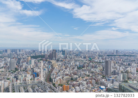 渋谷の展望台から見る日本の街並み 132782033