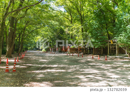 日本の京都の下鴨神社の糺の森の風景 132782039