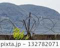 Barbed wire on an old concrete fence blocks the path of intruders. 132782071