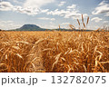 Ears of wheat ripen under the scorching sun against background of mountains 132782075