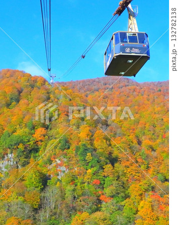 秋の田代ロープウェー（新潟県湯沢町・縦構図） 132782138