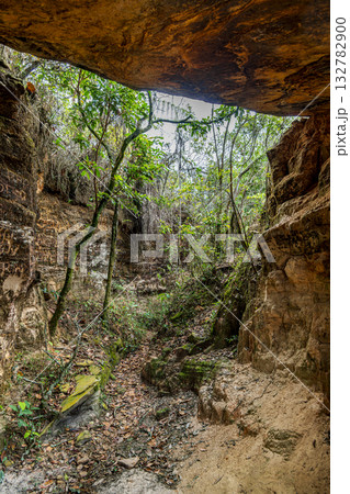 Cave amidst the rainforest Cave amidst the rainforest 132782900