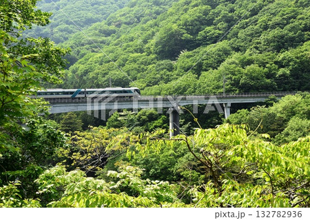 日光市川治温泉 野岩鉄道会津鬼怒川線と新緑 日光市川治温泉 野岩鉄道会津鬼怒川線と新緑 132782936