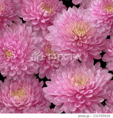 ピンクの菊の花の美しいシームレスパターン ピンクの菊の花の美しいシームレスパターン 132783010