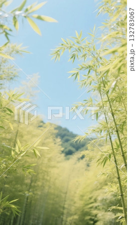 二十四節気・春の情景⑤ 清明（竹林） 132783067