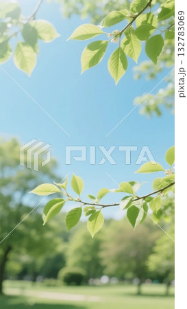 二十四節気・春の情景⑤ 清明 二十四節気・春の情景⑤ 清明 132783069