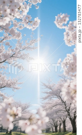 二十四節気・春の情景④ 春分(太陽) 二十四節気・春の情景④ 春分(太陽) 132783477