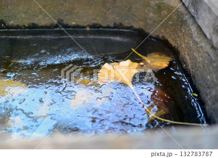 冬の散歩道には 132783787