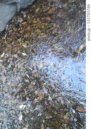 冬の散歩道には 132783789