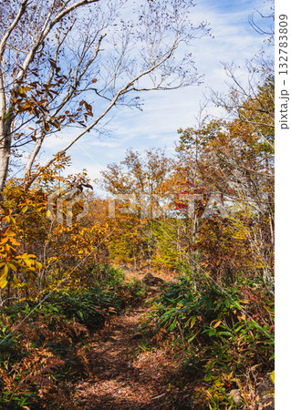 秋の乗鞍高原 MBTトレイル 秋の乗鞍高原 MBTトレイル 132783809