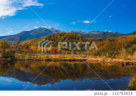 まいめの池 乗鞍高原 まいめの池 乗鞍高原 132783813