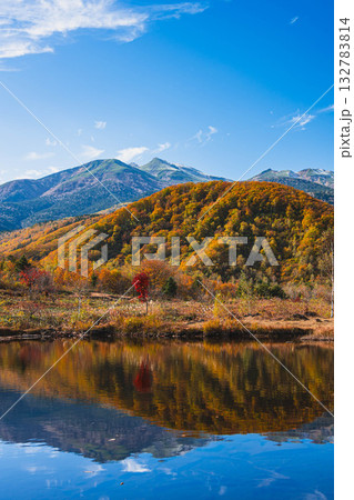 まいめの池 乗鞍高原 まいめの池 乗鞍高原 132783814