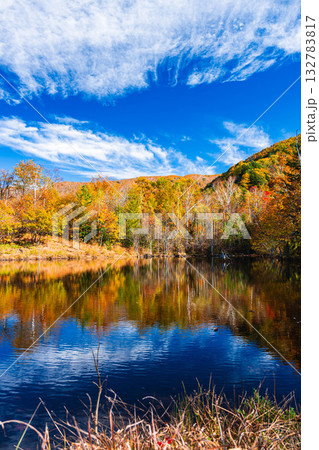 まいめの池の紅葉　 132783817