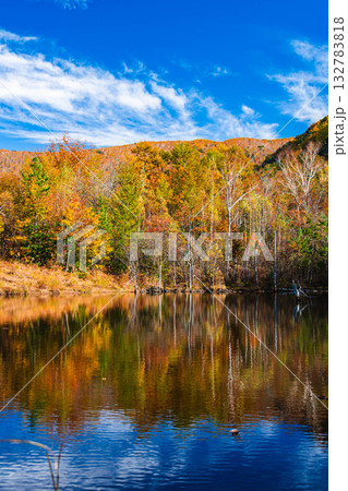まいめの池の紅葉　 132783818