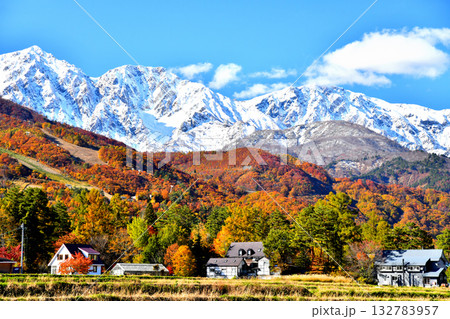 白馬村より白馬三山方面を望む(長野県白馬村)【2025.11】 132783957