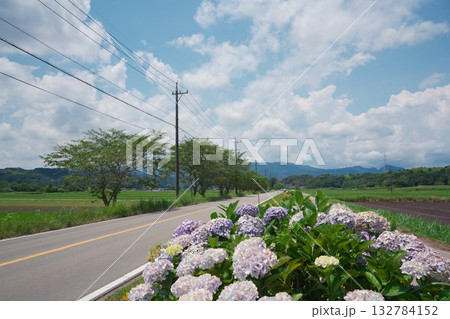 三重県津市久居一色町 アジサイ咲く榊原温泉へのフラワーロード 三重県津市久居一色町 アジサイ咲く榊原温泉へのフラワーロード 132784152