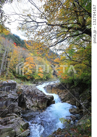 屏風岩の滝と紅葉/福島県南会津郡 南会津町 屏風岩の滝と紅葉/福島県南会津郡 南会津町 132784167