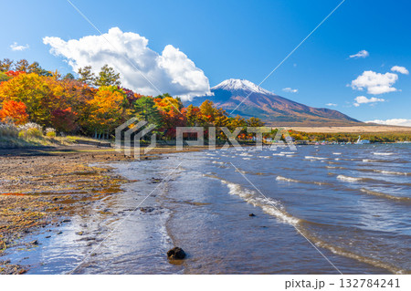 山中湖　紅葉　富士山 132784241
